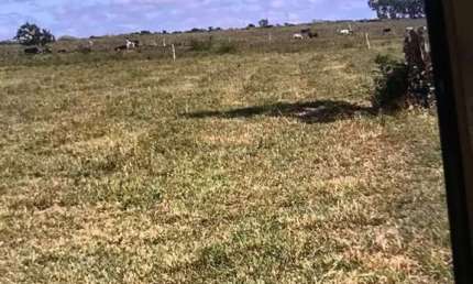 Terreno para Venda em Vitória da Conquista, Ayrton Senna
