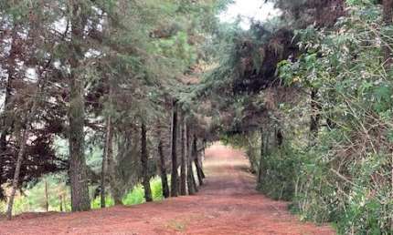 Chácara 2 hectares - 2,5 km do centro de Campo Magro