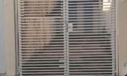 Casa com 2 quartos para alugar no Centro, São Carlos 
