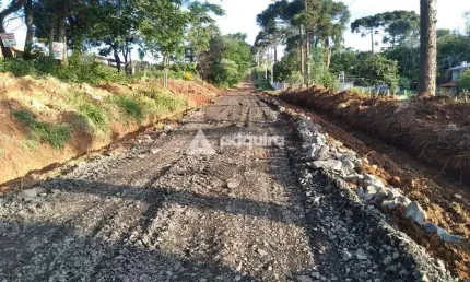 Terreno à venda na Rua Das Uvas, Chapada, Ponta Grossa