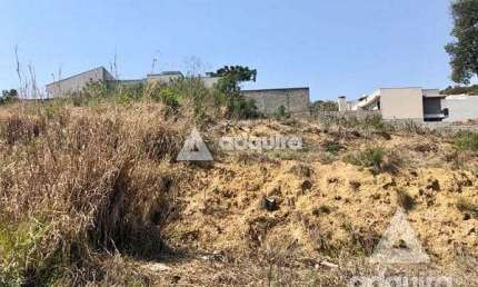Terreno à venda 802.26M², Estrela, Ponta Grossa - PR