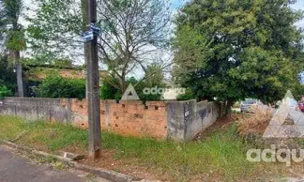 Terreno à venda 1 Quarto, 1 Vaga, 250M², Oficinas, Ponta Grossa - PR