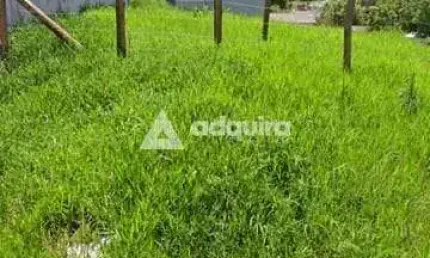 Terreno à venda 528m², jardim carvalho, ponta grossa - pr