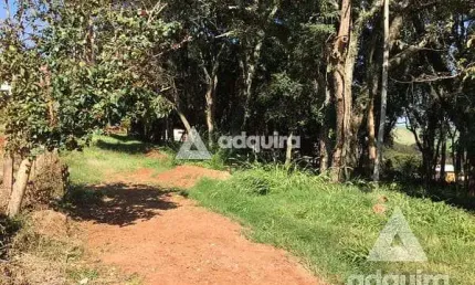 Terreno à venda na Rua Da Servidão Antônio Izael, Centro, Carambeí