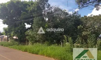 Terreno à venda na Rua Viveiros de Castro, Uvaranas, Ponta Grossa