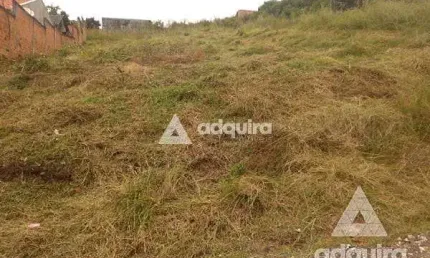Terreno à venda na Rua Dario Veloso, Uvaranas, Ponta Grossa