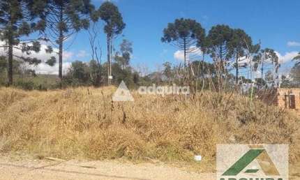 Terreno à venda 361.96M², Colônia Dona Luíza, Ponta Grossa - PR
