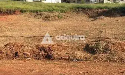 Terreno à venda na Rua Tomio Kawamura, Estrela, Ponta Grossa
