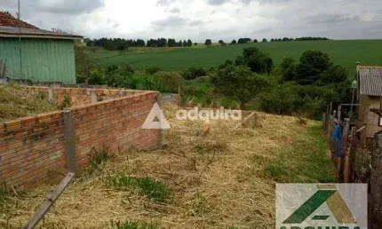 Terreno à venda 253m², cachoeira, cara-cará, ponta grossa - pr