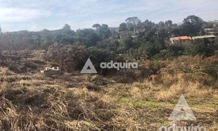 Terreno à venda 348.34M², Chapada, Ponta Grossa - PR