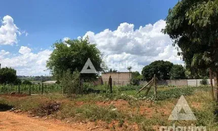 Terreno à venda na Rua Bem-te-vi, Piriquitos, Ponta Grossa