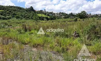 Terreno à venda 515.27M², Estrela, Ponta Grossa - PR