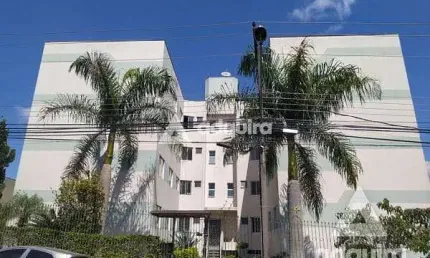Apartamento para locação 3 quartos, 1 suite, 1 vaga, orfãs, ponta grossa - pr