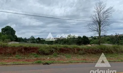 Terreno à venda 8952M², Cará-cará, Ponta Grossa - PR
