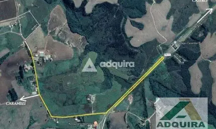 Chácara / sítio à venda na Estrada Da Tainha - Alto Carambeí  - Pr 151 - Km 305, Centro, Carambeí