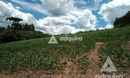 Chácara / sítio à venda na Estrada Laguinho, Centro, Palmeira