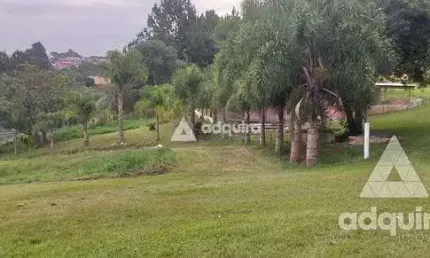 Chácara à venda 12000m², cará-cará, ponta grossa - pr