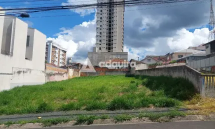 Terreno à venda, centro, próximo uepg, ponta grossa, pr