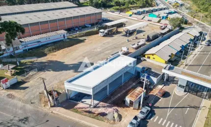 Comercial à venda  7 Vagas, 290M², Uvaranas, Ponta Grossa - PR