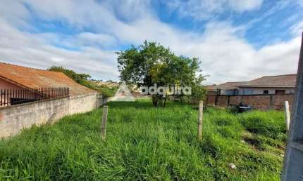 Terreno à venda, Colônia Dona Luíza, Ponta Grossa, PR