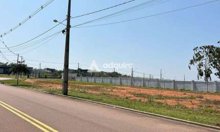 Terreno comercial à venda, Jardim Carvalho, Ponta Grossa, PR