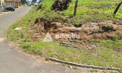 Terreno de esquina à venda, Jardim Carvalho, Ponta Grossa, PR