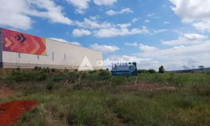 Terreno à venda na Rodovia 376, Cará-cará, Ponta Grossa