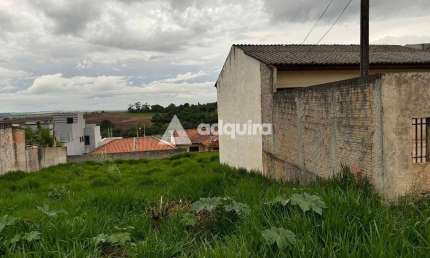 Terreno à venda na Rua Orfile Angelina Passetti, Neves, Ponta Grossa