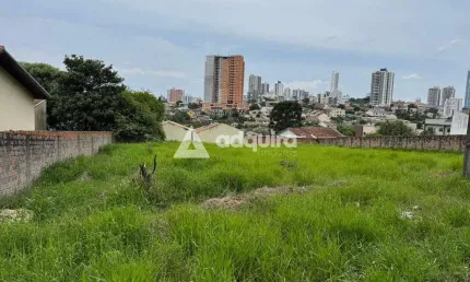 Terreno à venda na Rua Doutor Luiz Conrado Mansani, Oficinas, Ponta Grossa
