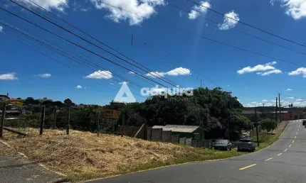 Terreno à venda, com 528m² (16m x 33m), jardim carvalho. ponta grossa, pr