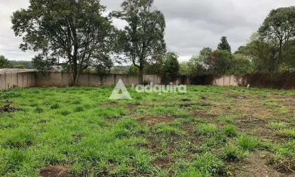 Terreno à venda na Rua José Koteski, Cará-cará, Ponta Grossa