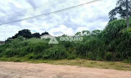 Terreno à venda na Rua Castro, Nova Rússia, Ponta Grossa