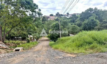 Terreno de esquina à venda próximo à Rua Londrina, Nova Rússia, Ponta Grossa, PR