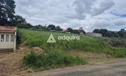 Terreno à venda próximo à Rua Londrina, Nova Rússia, Ponta Grossa, PR