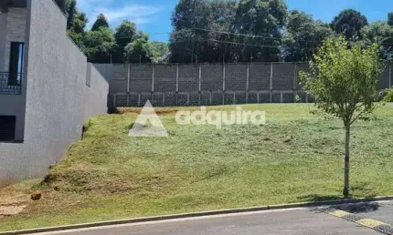 Terreno à venda, Colônia Dona Luíza, Ponta Grossa, PR
