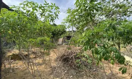 Terreno à venda no Gávea, Coronel Fabriciano 