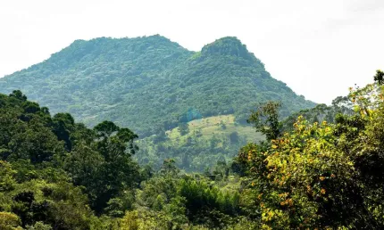 Amplo Terreno em Garopaba, com Vista p/ a Pedra Branca e a 500 m da Cascata Encantada.