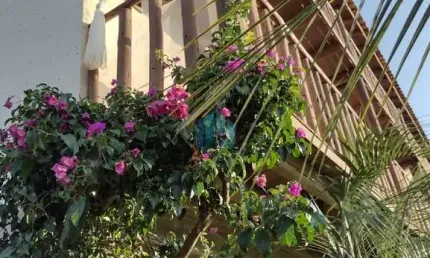 Casa comercial à venda na Praia do Rosa, Imbituba 