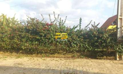 Terreno à venda no Centro, Bananeiras 