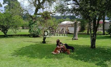 Chácara / sítio com 3 quartos à venda na Estrada Campo Das Flores, s/n, Campo das Flores, Tijucas do Sul