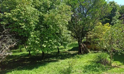 Terreno à venda, 2625 m² por R$ 508.800,00 - Neópolis - Gravataí/RS