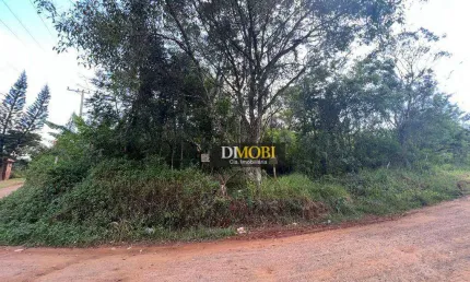 Terreno à venda, 600 m² por R$ 79.000,00 - Condomínio Campestre Guadalajara (barro Vermelho) - Gravataí/RS