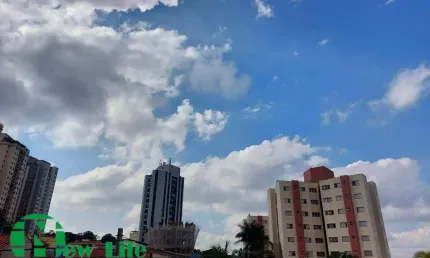 Apartamento com 1 quarto para alugar na Vila Primavera, São Paulo 