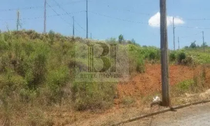 Terreno para Venda em Jaraguá do Sul / SC no bairro Nereu Ramos