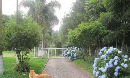 Chácara / sítio com 1 quarto à venda na zona rural, são josé dos pinhais , 4990 m2 por r$ 686.000