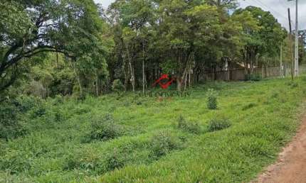 Terreno à venda na Rodovia BR-277, Borda do Campo, São José dos Pinhais por R$ 150.000