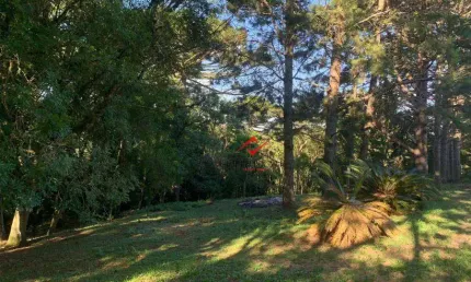 Chácara / sítio à venda no Fazendinha, Campo Largo  por R$ 1.390.000