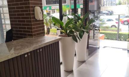 Apartamento com 1 quarto à venda na Rua Doutor Manoel Pedro, 430, Cabral, Curitiba