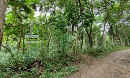 Terreno à venda, 100170 m² por r$ 190.000,00 - sete praias - são paulo/sp