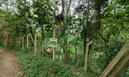 Terreno à venda, 1039 m² por r$ 190.000 - sete praias - são paulo/sp
